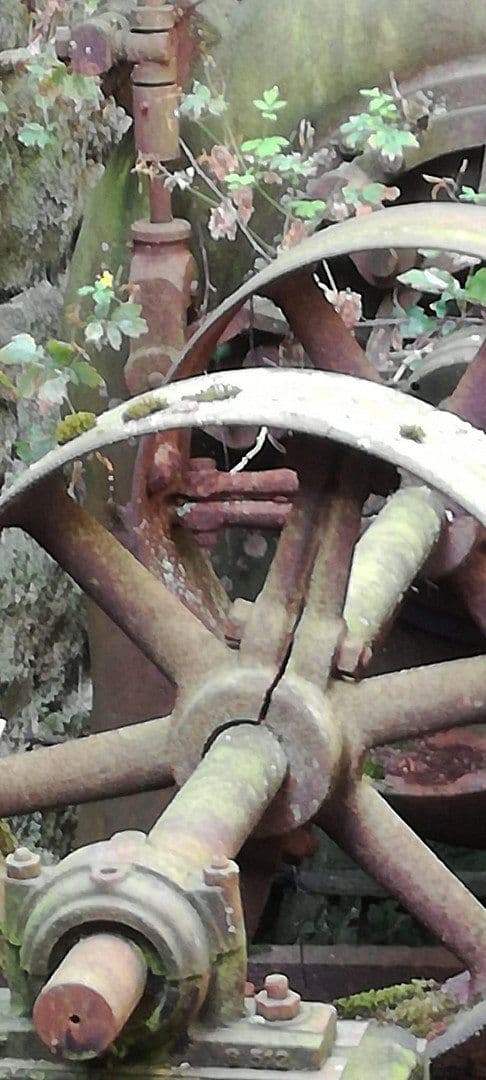 Predaj domu 180 m², pozemek 4.000 m², Wilhermsdorf, Bavorsko Predaj domu 180 m², pozemek 4.000 m², Wilhermsdorf, Bavorsko