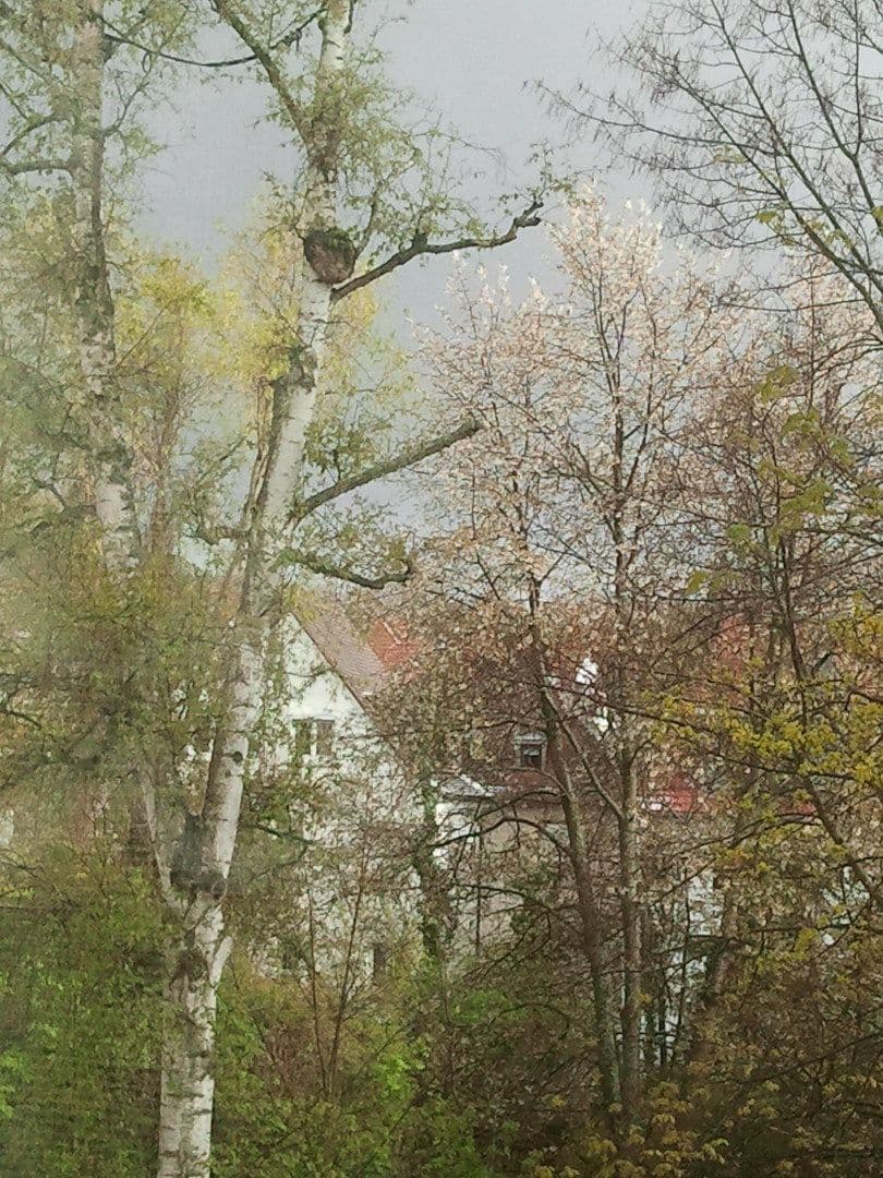 Predaj bytu 2-izbový 63 m², Stuttgart, Bádensko-Wurttembersko Predaj bytu 2-izbový 63 m², Stuttgart, Bádensko-Wurttembersko