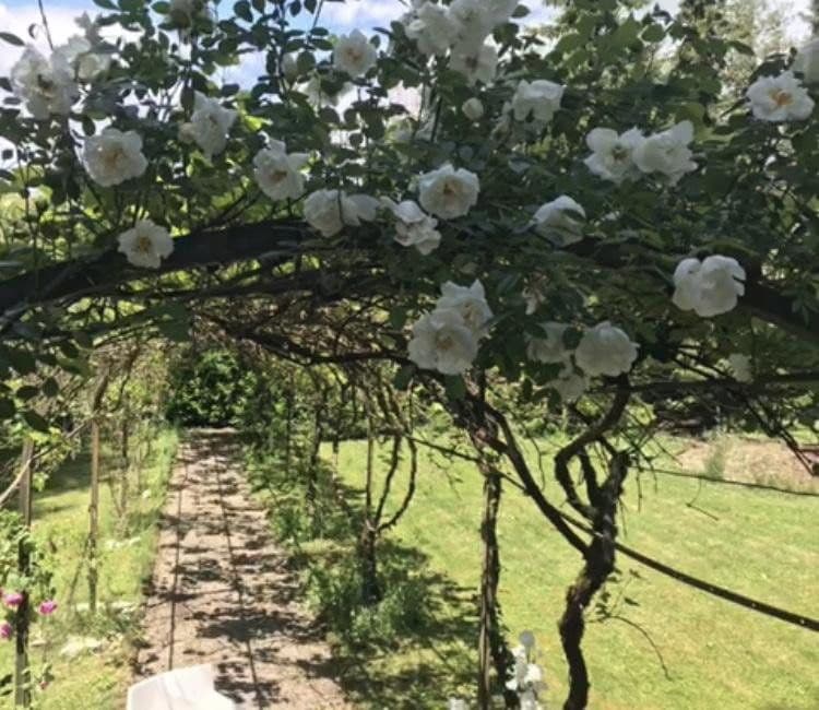 Predaj domu 300 m², pozemek 1.891 m², Lauchringen, Bádensko-Wurttembersko Predaj domu 300 m², pozemek 1.891 m², Lauchringen, Bádensko-Wurttembersko