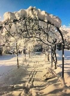 Predaj domu 300 m², pozemek 1.891 m², Lauchringen, Bádensko-Wurttembersko Predaj domu 300 m², pozemek 1.891 m², Lauchringen, Bádensko-Wurttembersko