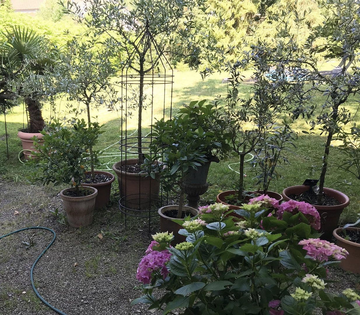 Predaj domu 300 m², pozemek 1.891 m², Lauchringen, Bádensko-Wurttembersko Predaj domu 300 m², pozemek 1.891 m², Lauchringen, Bádensko-Wurttembersko