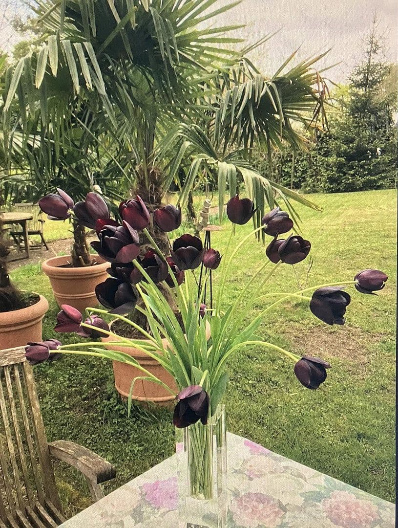 Predaj domu 300 m², pozemek 1.891 m², Lauchringen, Bádensko-Wurttembersko Predaj domu 300 m², pozemek 1.891 m², Lauchringen, Bádensko-Wurttembersko