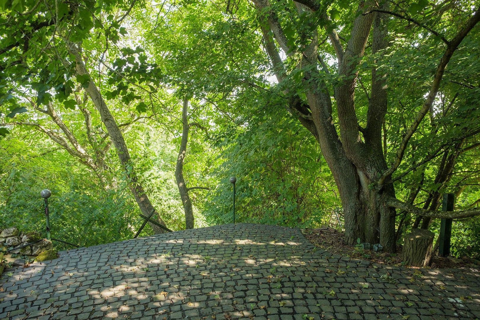 Predaj domu 228 m², pozemek 1.435 m², Ingelheim am Rhein, Porýnie-Falcko Predaj domu 228 m², pozemek 1.435 m², Ingelheim am Rhein, Porýnie-Falcko