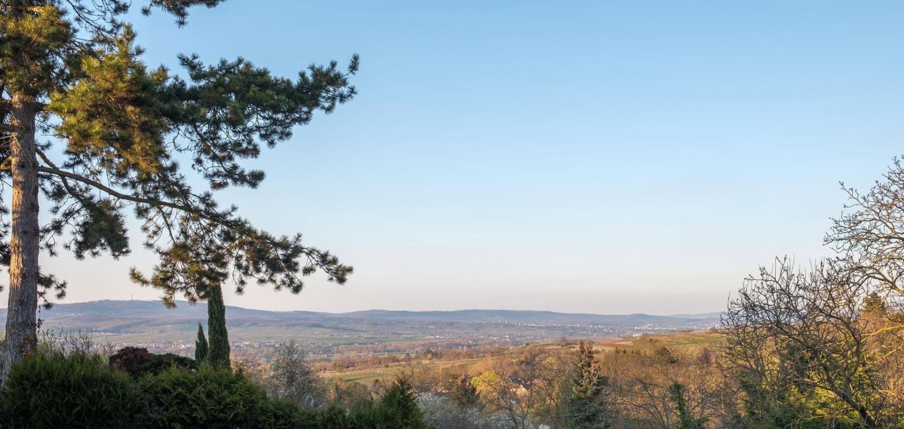 Predaj domu 228 m², pozemek 1.435 m², Ingelheim am Rhein, Porýnie-Falcko Predaj domu 228 m², pozemek 1.435 m², Ingelheim am Rhein, Porýnie-Falcko