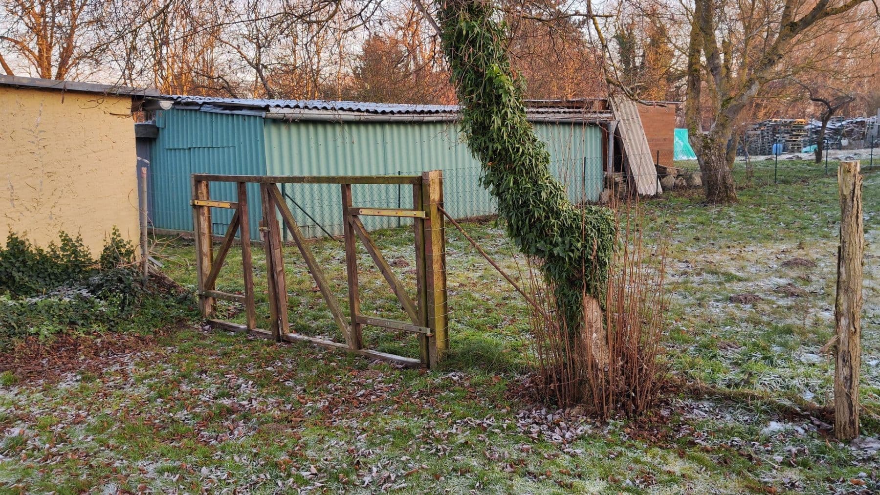 Predaj domu 92 m², pozemek 1.813 m², Dorfstraße 35, Putbus, Meklenbursko-Predpomoransko Predaj domu 92 m², pozemek 1.813 m², Dorfstraße 35, Putbus, Meklenbursko-Predpomoransko