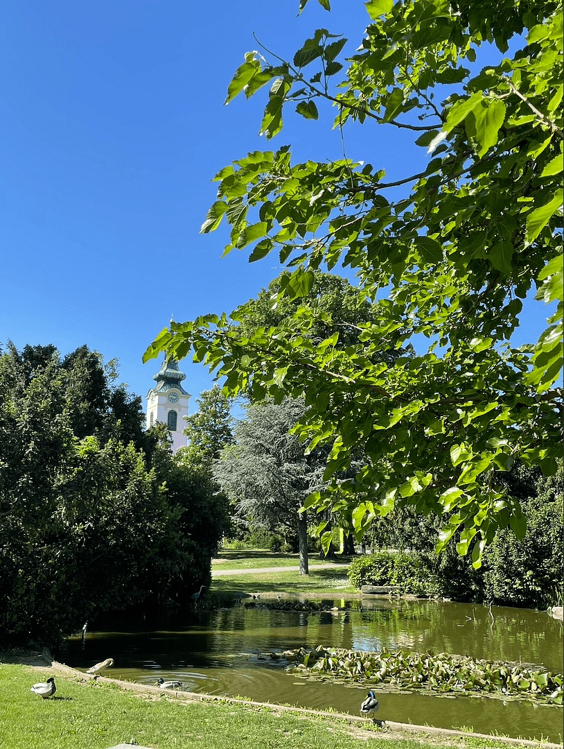 Predaj bytu 4-izbový 100 m², Franz-Asenbauer-Gasse, Wien, Viedeň Predaj bytu 4-izbový 100 m², Franz-Asenbauer-Gasse, Wien, Viedeň