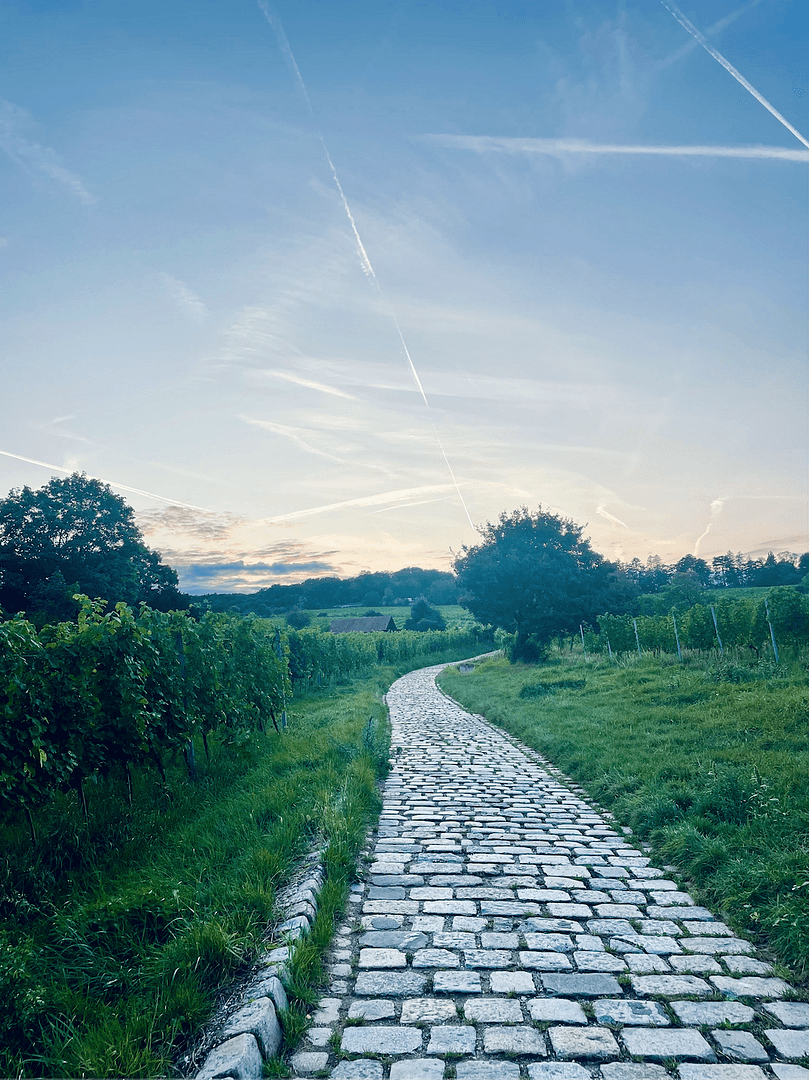 Predaj bytu 4-izbový 100 m², Franz-Asenbauer-Gasse, Wien, Viedeň Predaj bytu 4-izbový 100 m², Franz-Asenbauer-Gasse, Wien, Viedeň