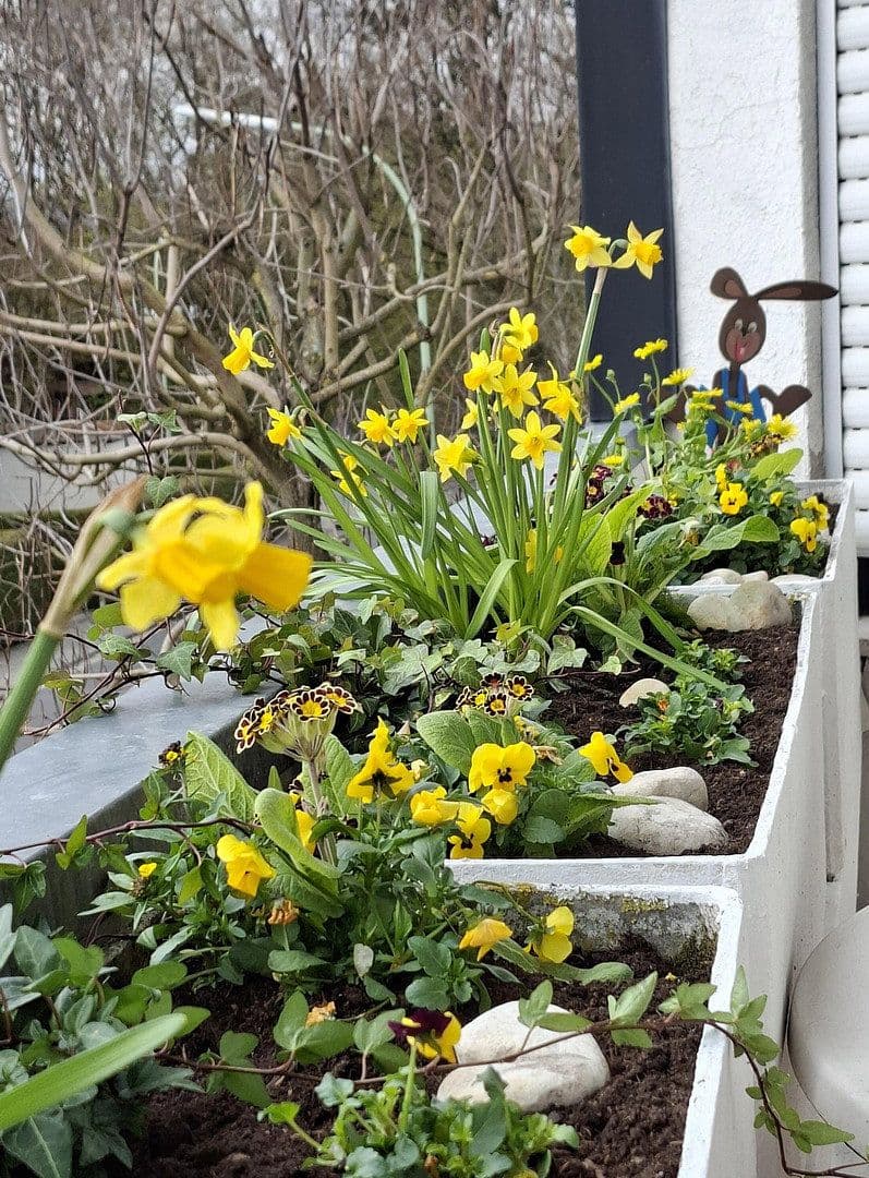 Prenájom bytu 1-izbový 51 m², Friedrichsdorf, Hesensko Prenájom bytu 1-izbový 51 m², Friedrichsdorf, Hesensko