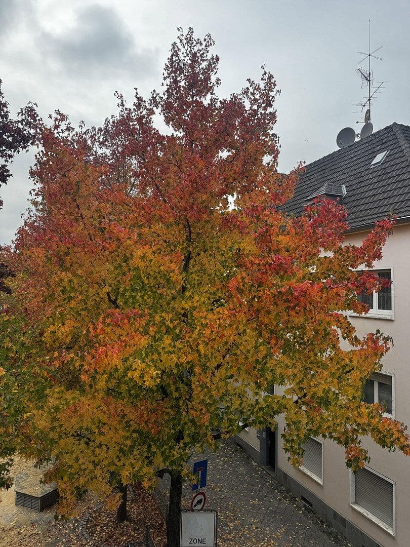 Prenájom bytu 3-izbový 66 m², Petersstrasse 59, Krefeld, Severné Porýnie - Westfálsko Prenájom bytu 3-izbový 66 m², Petersstrasse 59, Krefeld, Severné Porýnie - Westfálsko