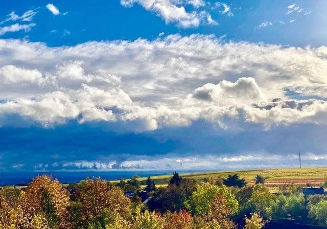 Predaj domu 270 m², pozemek 776 m², Weisenheim am Berg, Porýnie-Falcko Predaj domu 270 m², pozemek 776 m², Weisenheim am Berg, Porýnie-Falcko