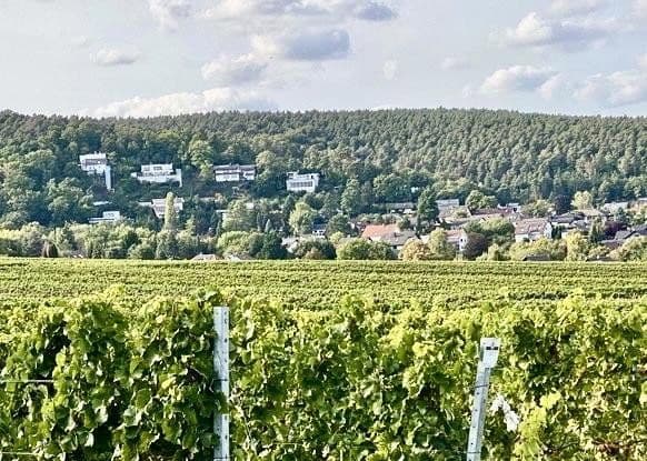 Predaj domu 270 m², pozemek 776 m², Weisenheim am Berg, Porýnie-Falcko Predaj domu 270 m², pozemek 776 m², Weisenheim am Berg, Porýnie-Falcko