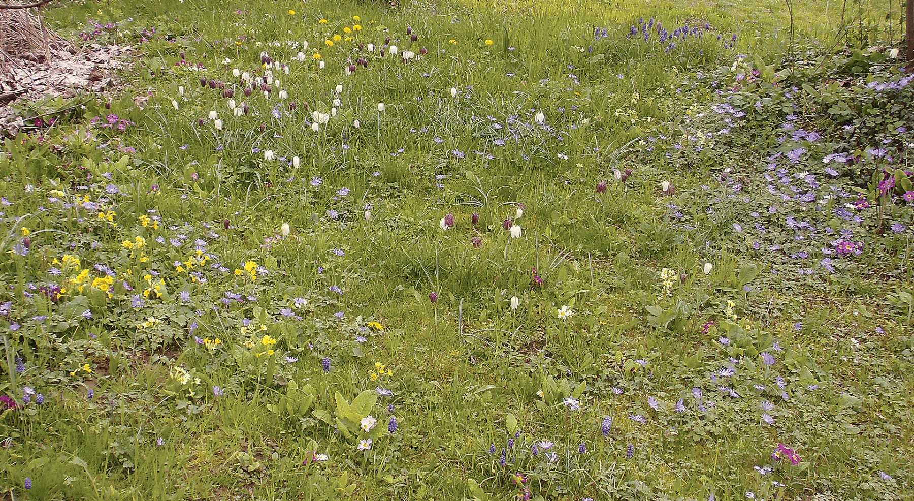 Predaj domu 326 m², pozemek 1.366 m², Nellinger Straße 47, Stuttgart, Bádensko-Wurttembersko Predaj domu 326 m², pozemek 1.366 m², Nellinger Straße 47, Stuttgart, Bádensko-Wurttembersko