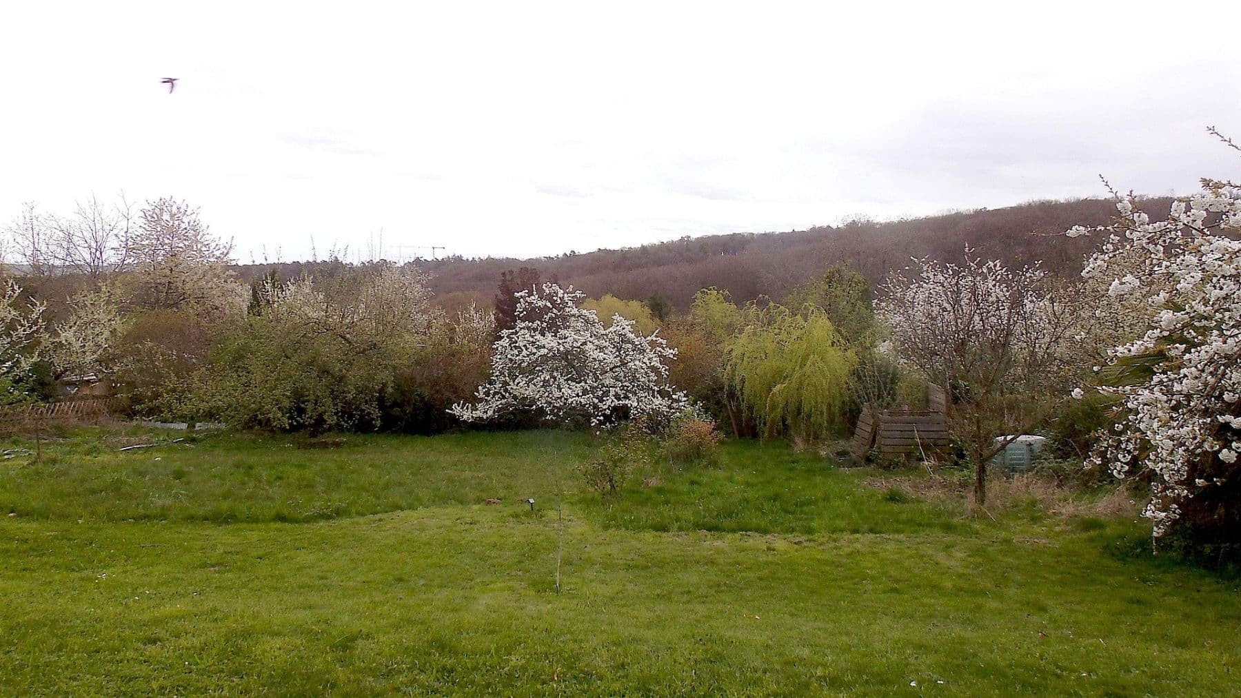 Predaj domu 326 m², pozemek 1.366 m², Nellinger Straße 47, Stuttgart, Bádensko-Wurttembersko Predaj domu 326 m², pozemek 1.366 m², Nellinger Straße 47, Stuttgart, Bádensko-Wurttembersko