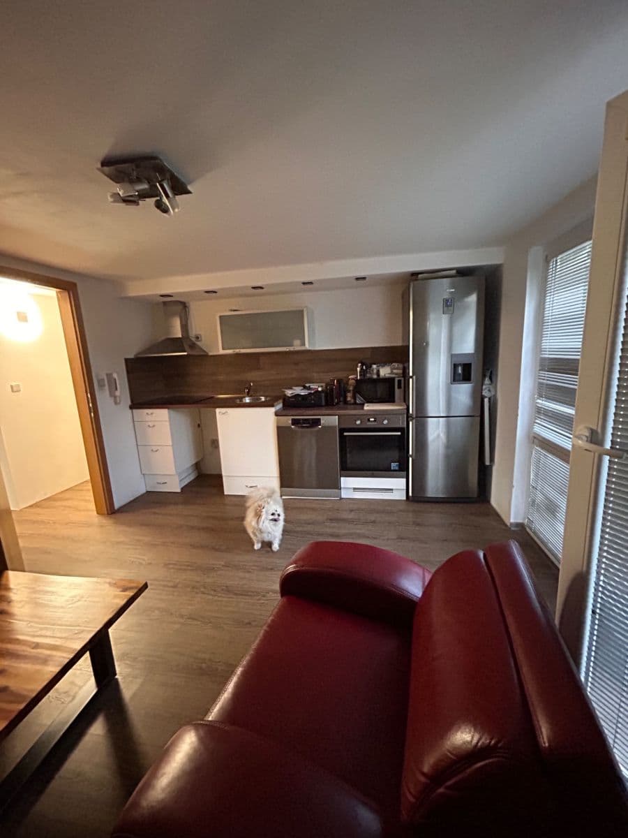 Prenájom bytu 2-izbový 200 m², Křehlíkova, Brno, Jihomoravský kraj Prenájom bytu 2-izbový 200 m², Křehlíkova, Brno, Jihomoravský kraj