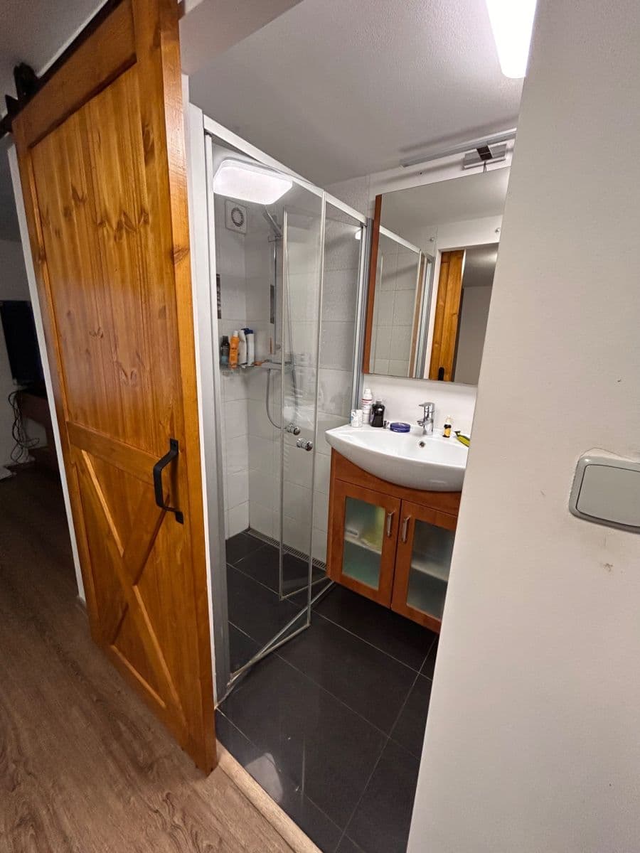 Prenájom bytu 2-izbový 200 m², Křehlíkova, Brno, Jihomoravský kraj Prenájom bytu 2-izbový 200 m², Křehlíkova, Brno, Jihomoravský kraj