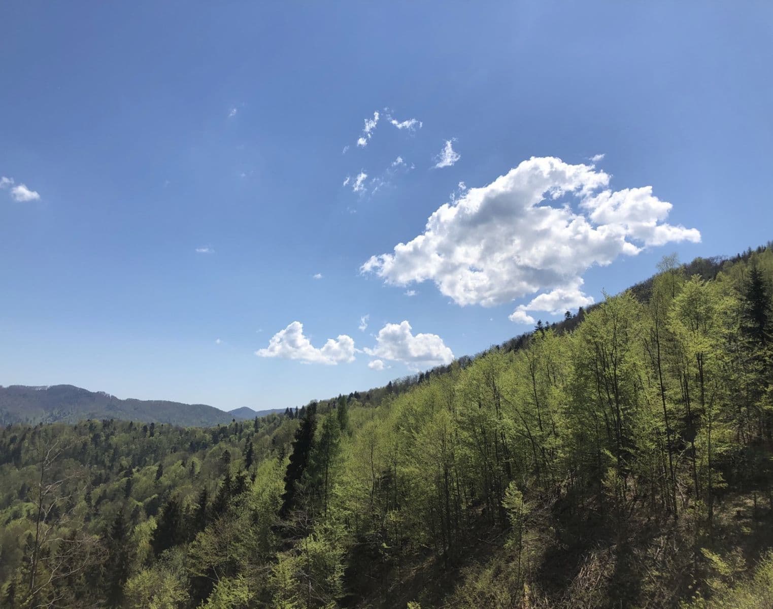 Predaj pozemku 126.857 m², Legnava, Prešovský kraj Predaj pozemku 126.857 m², Legnava, Prešovský kraj