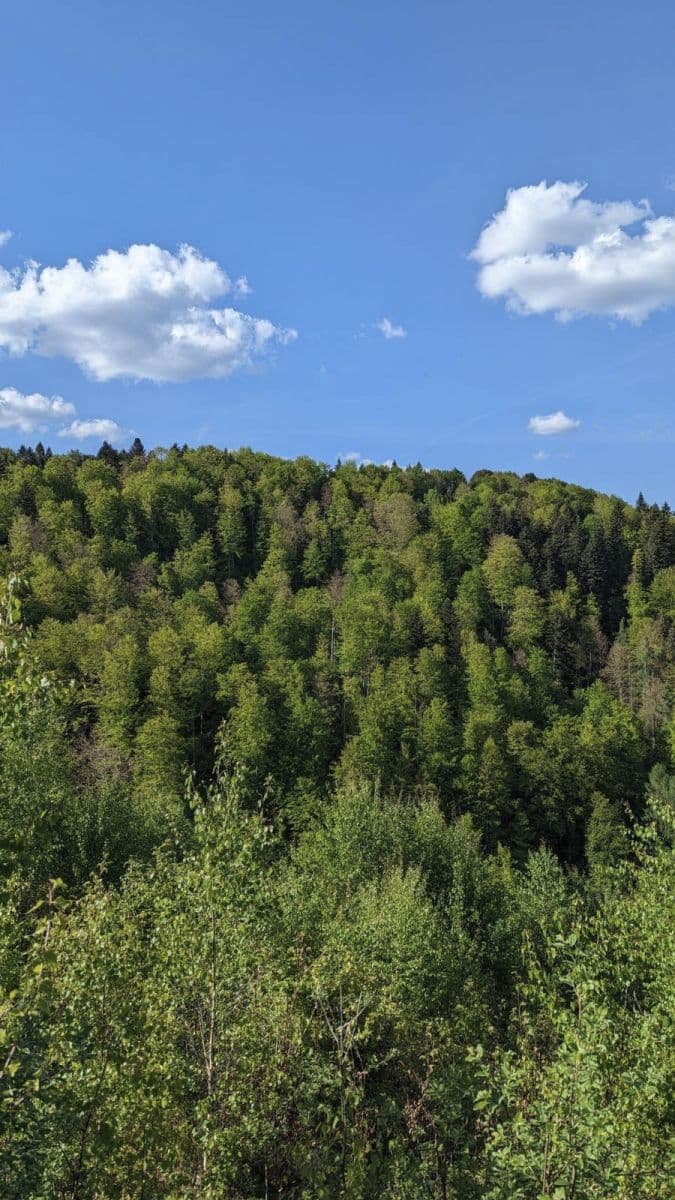 Predaj pozemku 126.857 m², Legnava, Prešovský kraj Predaj pozemku 126.857 m², Legnava, Prešovský kraj