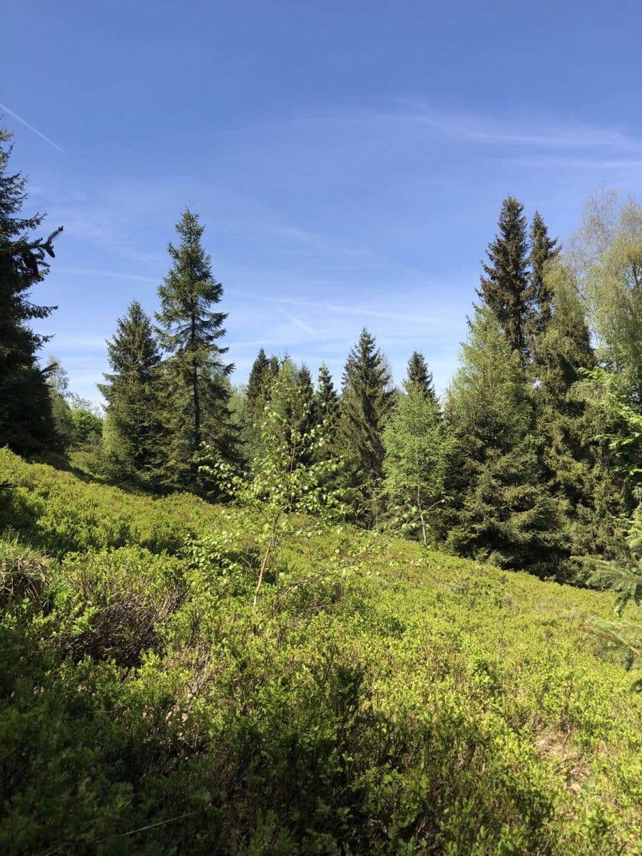 Predaj pozemku 126.857 m², Legnava, Prešovský kraj Predaj pozemku 126.857 m², Legnava, Prešovský kraj