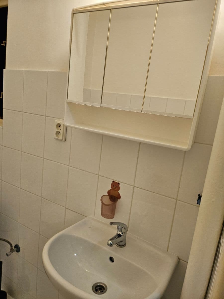 Prenájom bytu 1-izbový 26 m², Vrchlického, Praha, Praha Prenájom bytu 1-izbový 26 m², Vrchlického, Praha, Praha