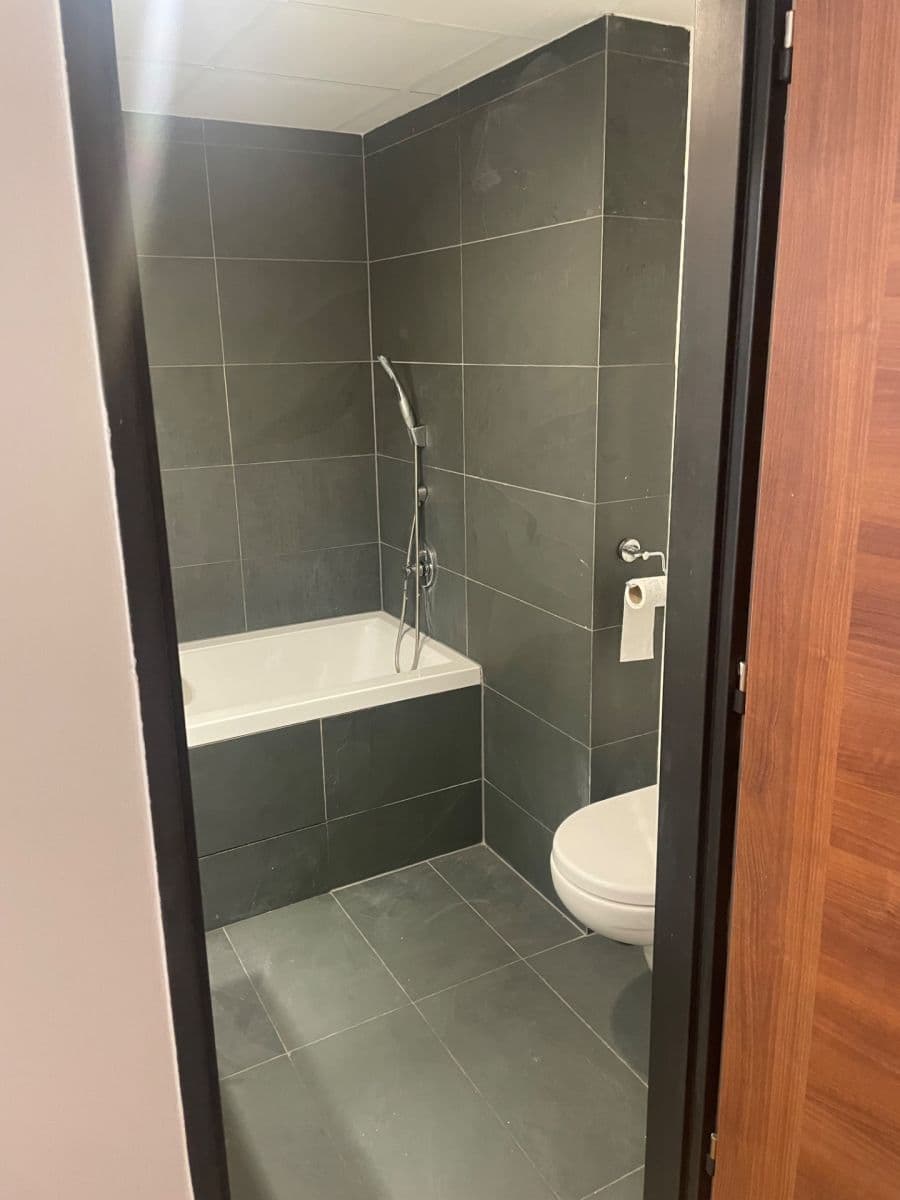 Prenájom bytu 2-izbový 52 m², Žerotínova, Praha, Praha Prenájom bytu 2-izbový 52 m², Žerotínova, Praha, Praha