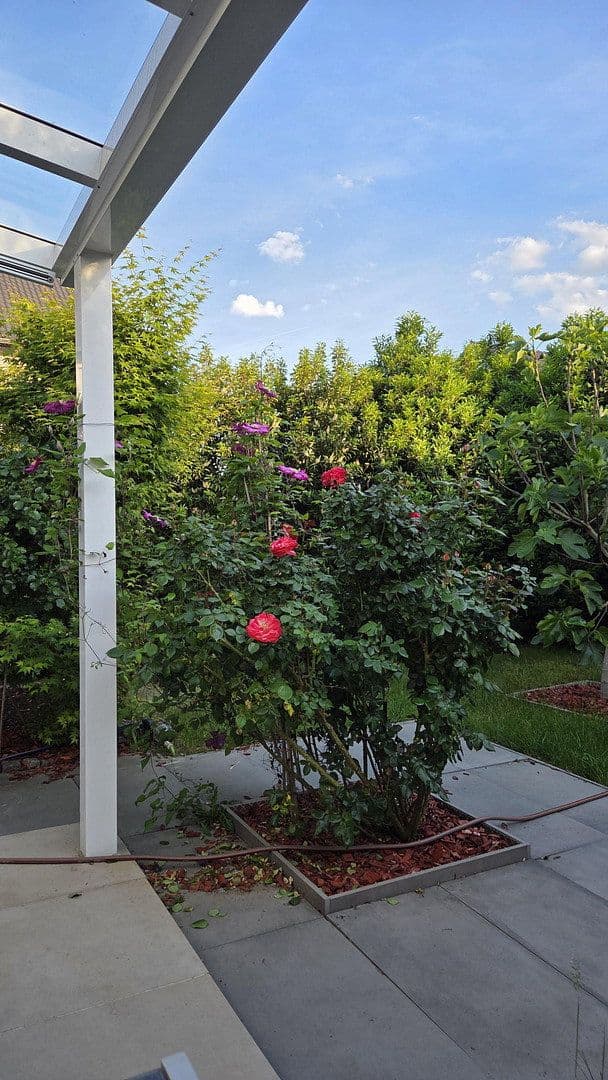 Predaj domu 138 m², pozemek 261 m², Bonn - Buschdorf, Severné Porýnie - Westfálsko Predaj domu 138 m², pozemek 261 m², Bonn - Buschdorf, Severné Porýnie - Westfálsko