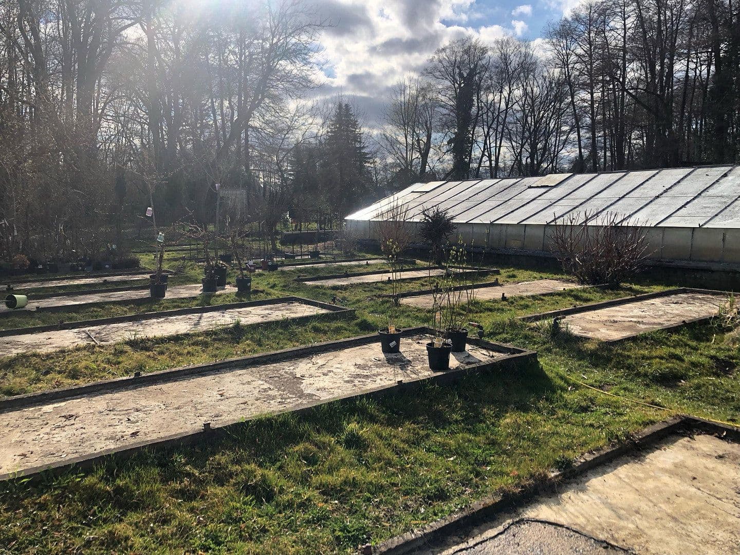 Predaj pozemku 4.300 m², Motzener Str. 8a, Bestensee, Brandenbursko Predaj pozemku 4.300 m², Motzener Str. 8a, Bestensee, Brandenbursko