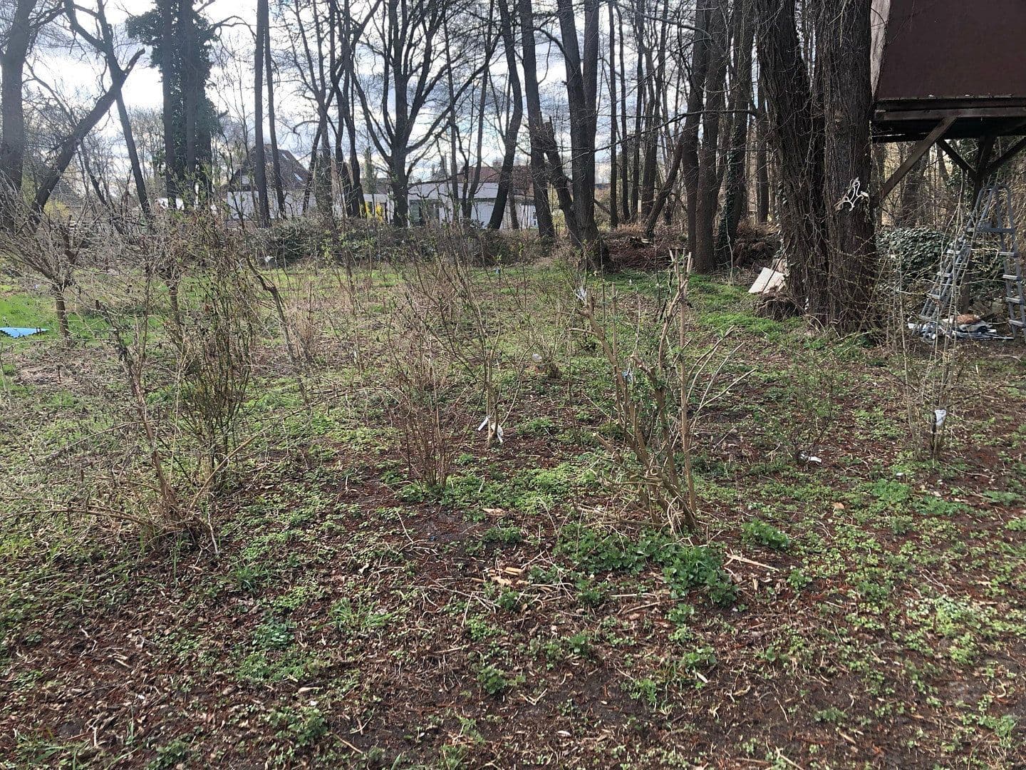 Predaj pozemku 4.300 m², Motzener Str. 8a, Bestensee, Brandenbursko Predaj pozemku 4.300 m², Motzener Str. 8a, Bestensee, Brandenbursko