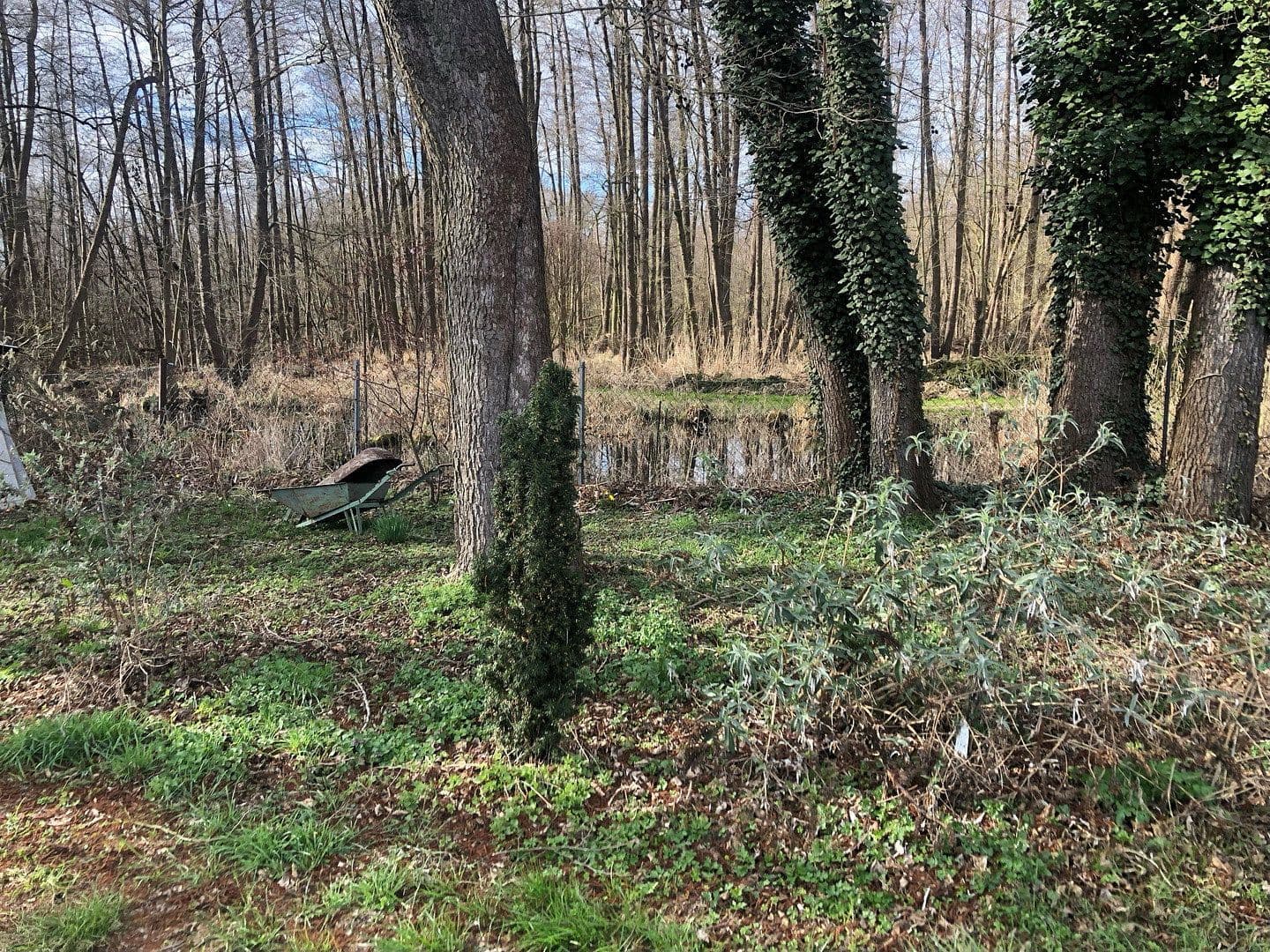 Predaj pozemku 4.300 m², Motzener Str. 8a, Bestensee, Brandenbursko Predaj pozemku 4.300 m², Motzener Str. 8a, Bestensee, Brandenbursko