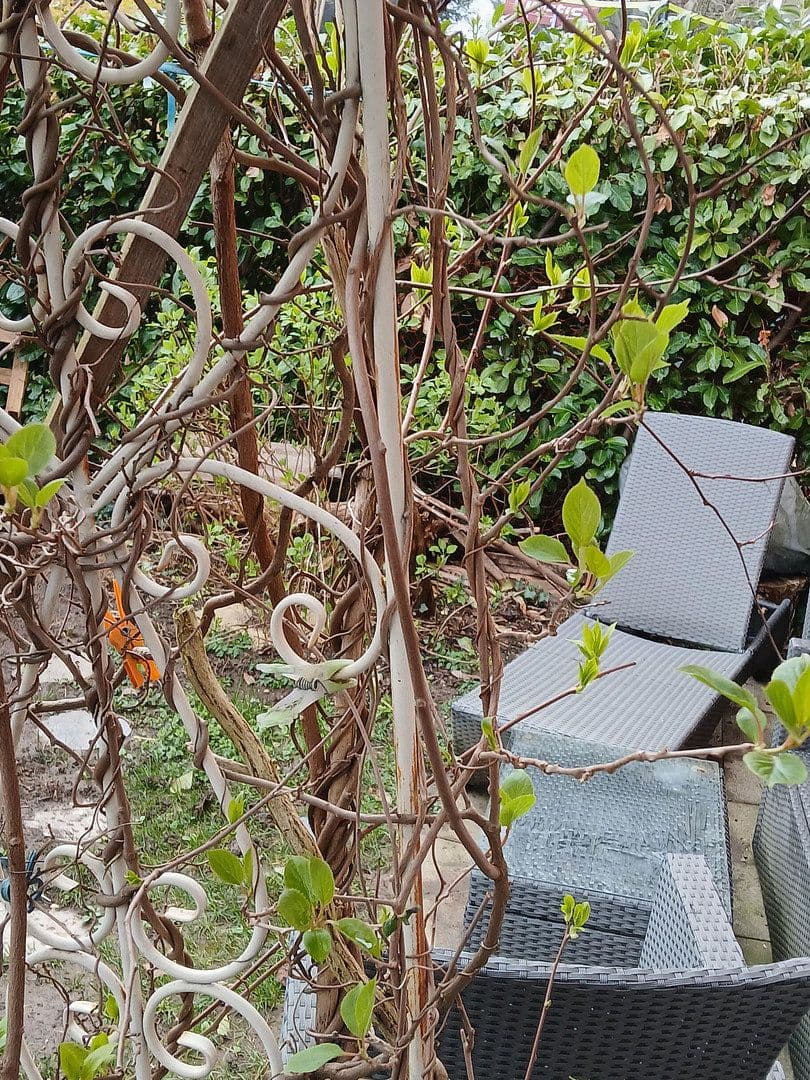 Predaj bytu 3-izbový 88 m², Freiburg, Bádensko-Wurttembersko Predaj bytu 3-izbový 88 m², Freiburg, Bádensko-Wurttembersko