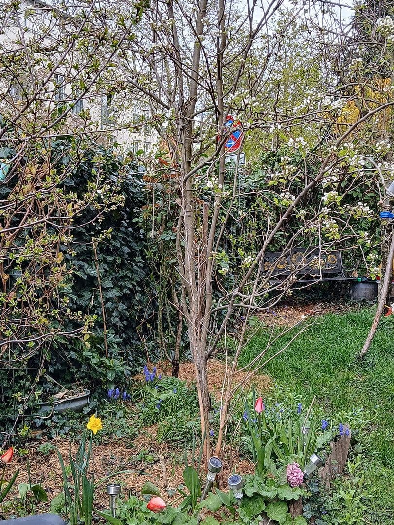 Predaj bytu 3-izbový 88 m², Freiburg, Bádensko-Wurttembersko Predaj bytu 3-izbový 88 m², Freiburg, Bádensko-Wurttembersko