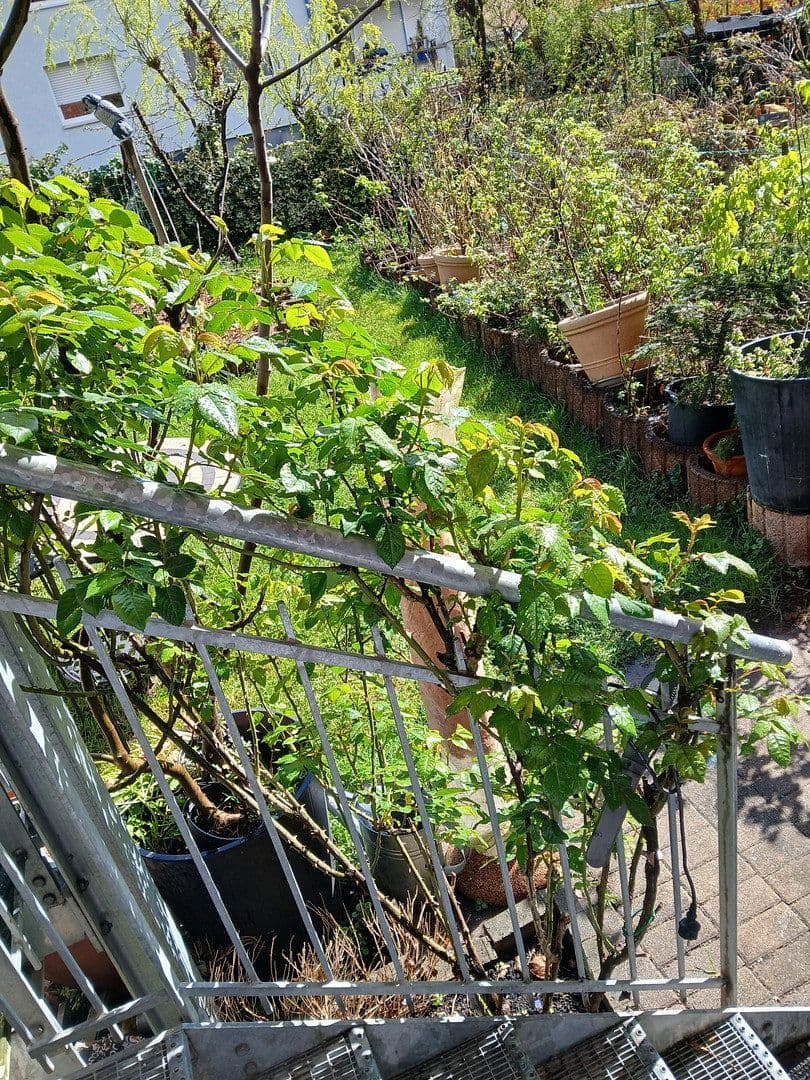 Predaj bytu 3-izbový 88 m², Freiburg, Bádensko-Wurttembersko Predaj bytu 3-izbový 88 m², Freiburg, Bádensko-Wurttembersko