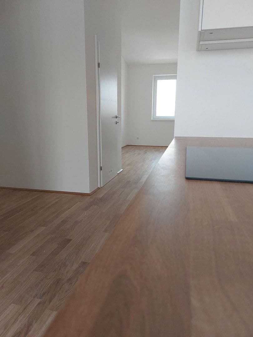 Prenájom bytu 2-izbový 66 m², Wienerstr. 29, Linz, Horné Rakúsko Prenájom bytu 2-izbový 66 m², Wienerstr. 29, Linz, Horné Rakúsko