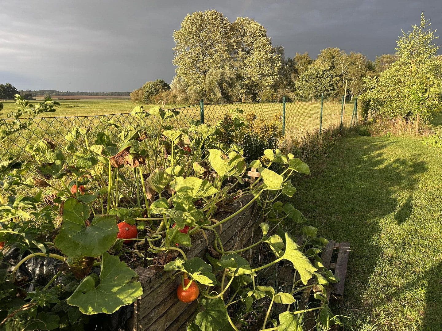 Predaj domu 60 m², pozemek 1.361 m², Biendorf, Meklenbursko-Predpomoransko Predaj domu 60 m², pozemek 1.361 m², Biendorf, Meklenbursko-Predpomoransko