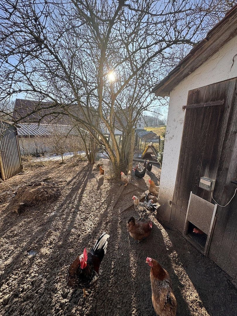 Predaj domu 137 m², pozemek 950 m², Wappeltshofen 4, Altdorf bei Nürnberg, Bavorsko Predaj domu 137 m², pozemek 950 m², Wappeltshofen 4, Altdorf bei Nürnberg, Bavorsko