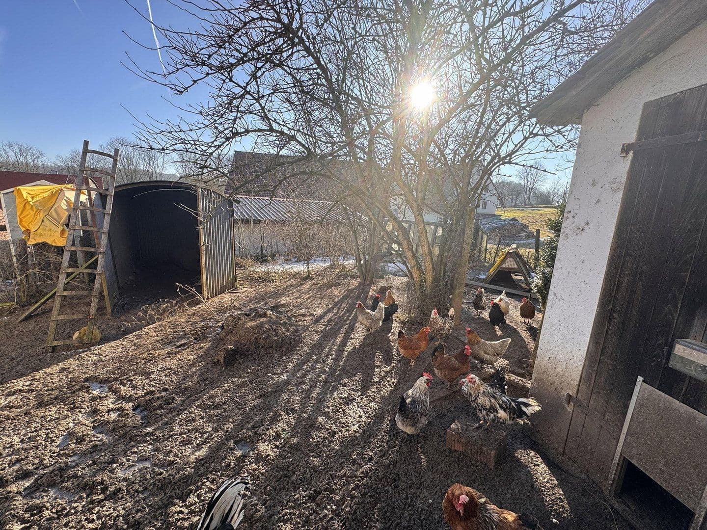 Predaj domu 137 m², pozemek 950 m², Wappeltshofen 4, Altdorf bei Nürnberg, Bavorsko Predaj domu 137 m², pozemek 950 m², Wappeltshofen 4, Altdorf bei Nürnberg, Bavorsko