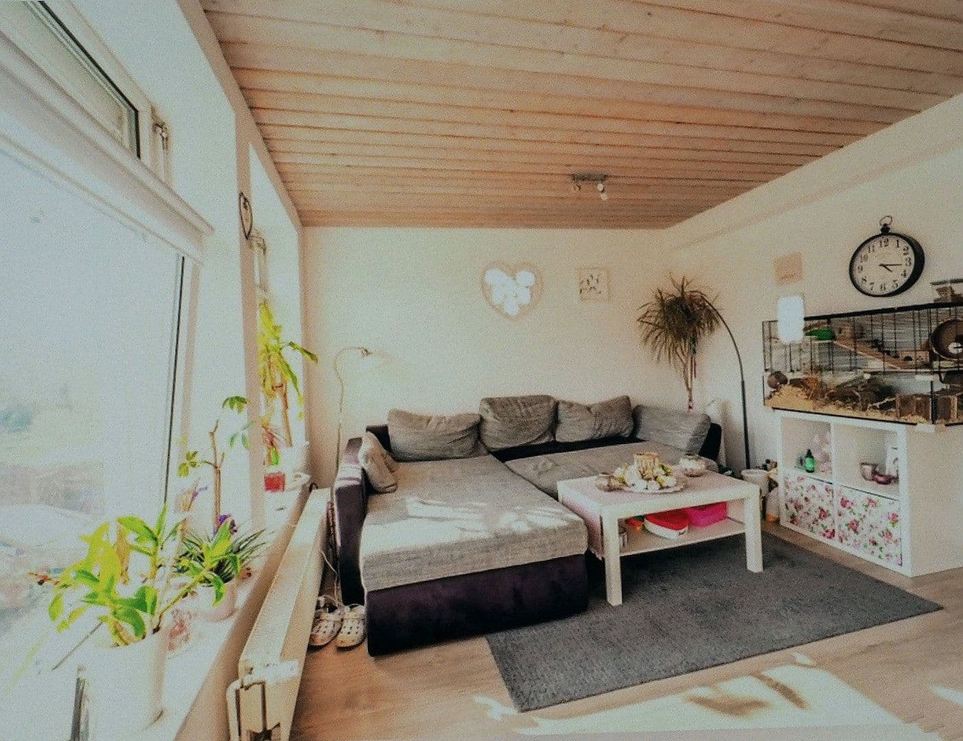 Predaj domu 126 m², pozemek 599 m², Oldenburg in Holstein, Šlezvicko-Holštajnsko Predaj domu 126 m², pozemek 599 m², Oldenburg in Holstein, Šlezvicko-Holštajnsko