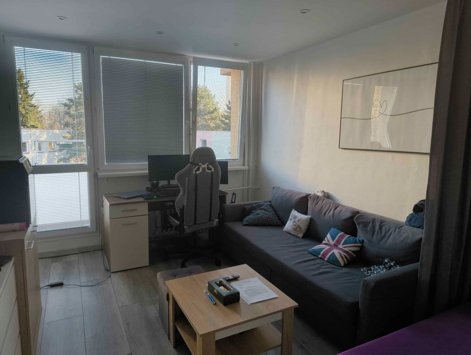 Prenájom bytu 1-izbový 46 m², J. Opletala, Frýdek-Místek, Moravskoslezský kraj Prenájom bytu 1-izbový 46 m², J. Opletala, Frýdek-Místek, Moravskoslezský kraj