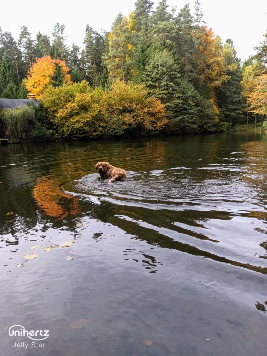 Predaj pozemku 1.400 m², Vrábče, Jihočeský kraj Predaj pozemku 1.400 m², Vrábče, Jihočeský kraj