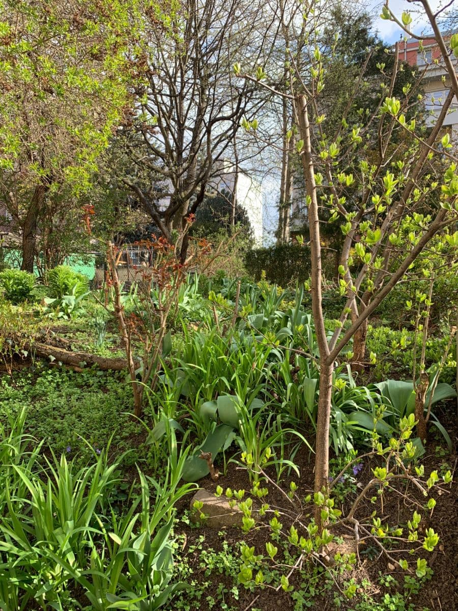 Prenájom bytu 2-izbový 43 m², Vršovická, Praha, Praha Prenájom bytu 2-izbový 43 m², Vršovická, Praha, Praha