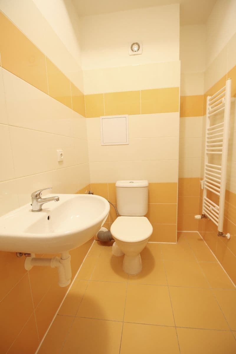 Prenájom bytu 1-izbový 27 m², Otvovice, Středočeský kraj Prenájom bytu 1-izbový 27 m², Otvovice, Středočeský kraj