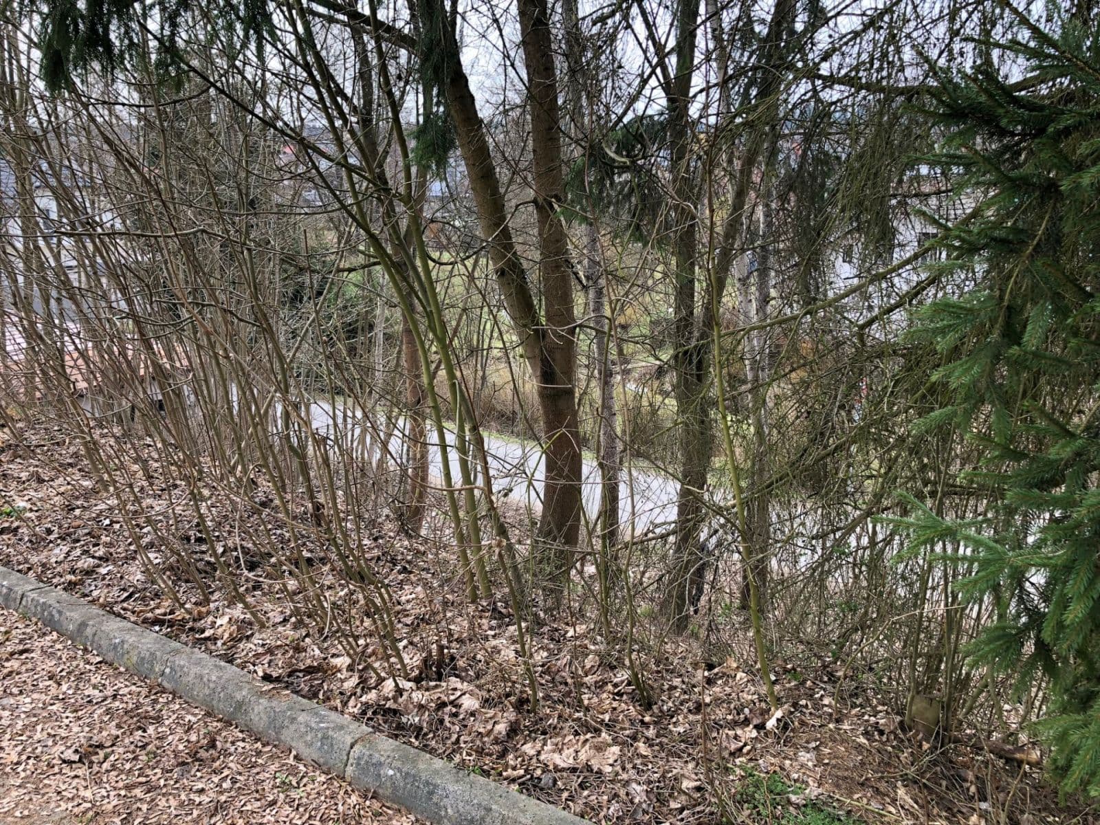 Predaj nebytového priestoru 560 m², Čsl. Legií, Jilemnice, Liberecký kraj Predaj nebytového priestoru 560 m², Čsl. Legií, Jilemnice, Liberecký kraj