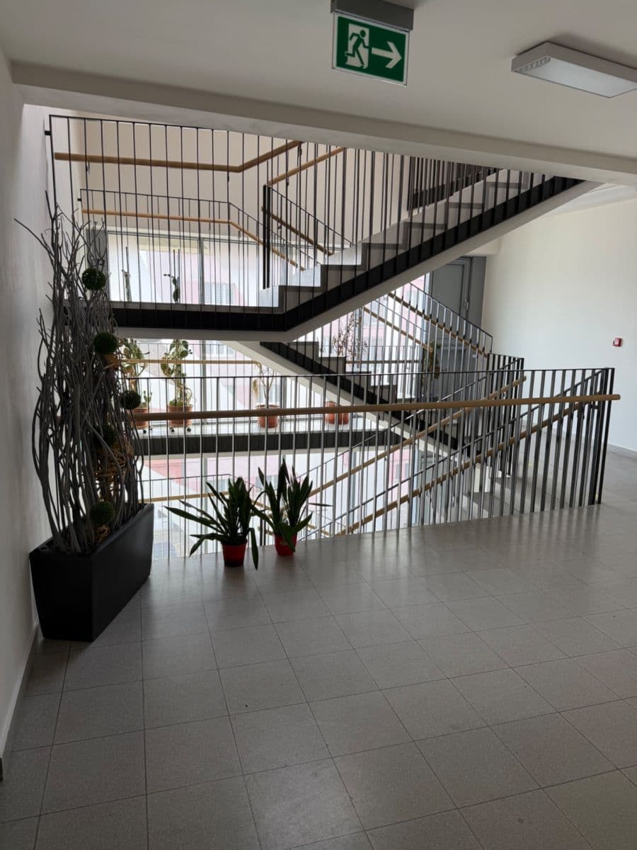 Prenájom bytu 1-izbový 33 m², Palackého třída, Brno, Jihomoravský kraj Prenájom bytu 1-izbový 33 m², Palackého třída, Brno, Jihomoravský kraj