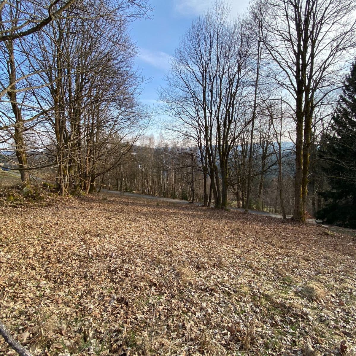 Predaj pozemku 1.024 m², Albrechtice v Jizerských horách, Liberecký kraj Predaj pozemku 1.024 m², Albrechtice v Jizerských horách, Liberecký kraj