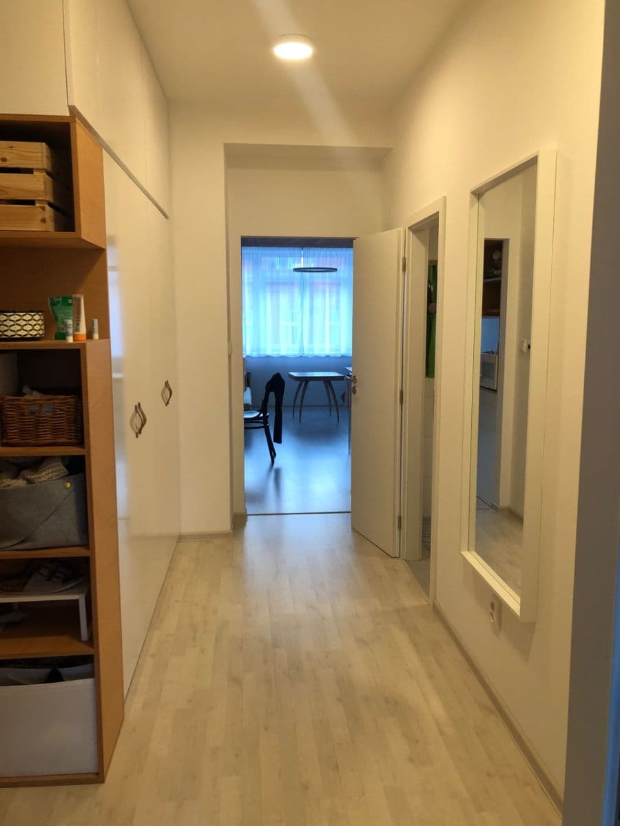 Prenájom bytu 2-izbový 50 m², Přadlácká, Brno, Jihomoravský kraj Prenájom bytu 2-izbový 50 m², Přadlácká, Brno, Jihomoravský kraj