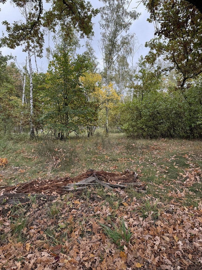 Prenájom bytu 2-izbový 55 m², Berlin, Berlín Prenájom bytu 2-izbový 55 m², Berlin, Berlín