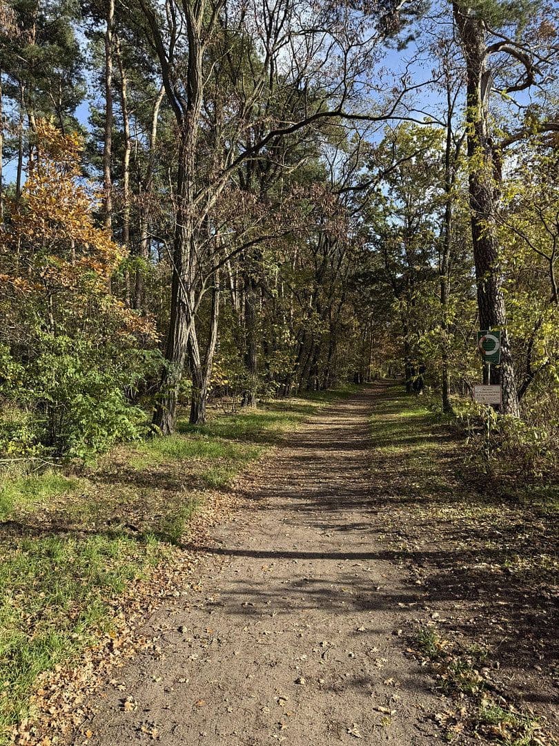 Prenájom bytu 2-izbový 55 m², Berlin, Berlín Prenájom bytu 2-izbový 55 m², Berlin, Berlín