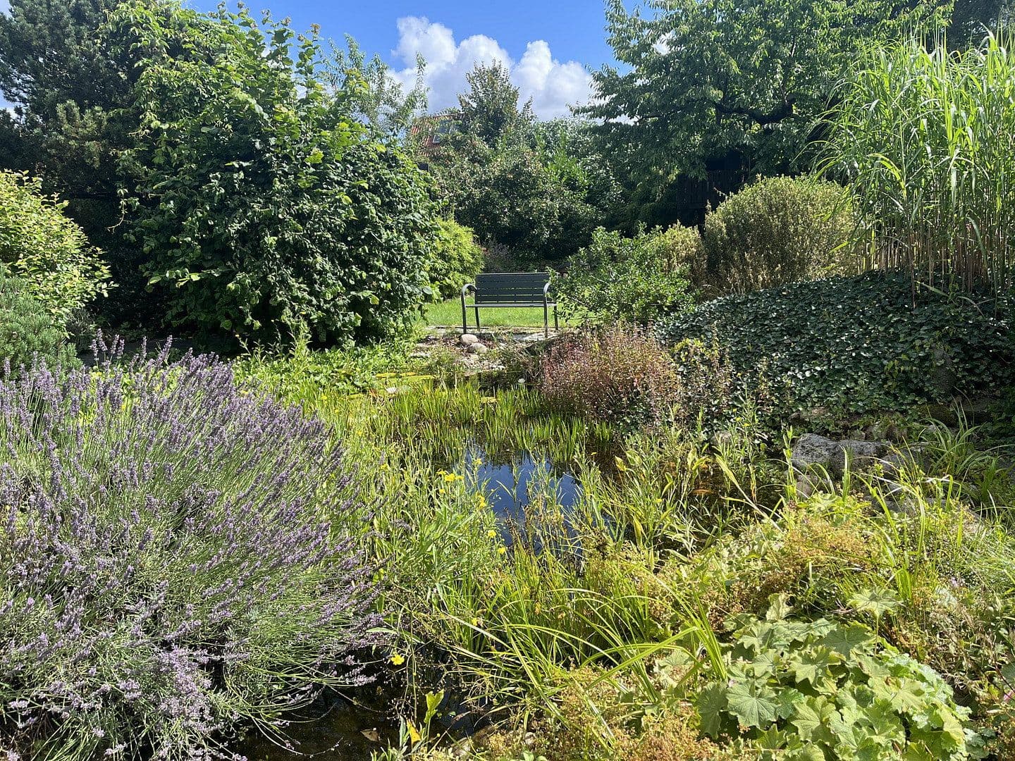 Predaj domu 173 m², pozemek 1.327 m², Deutsch Evern, Dolné Sasko Predaj domu 173 m², pozemek 1.327 m², Deutsch Evern, Dolné Sasko