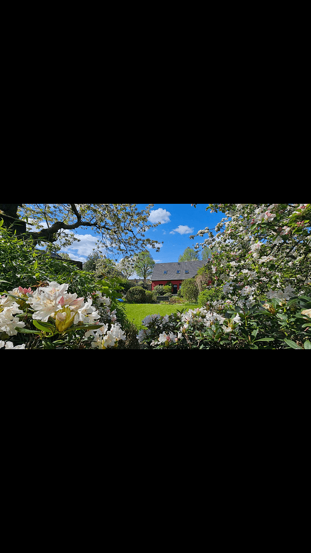 Predaj domu 173 m², pozemek 1.327 m², Deutsch Evern, Dolné Sasko Predaj domu 173 m², pozemek 1.327 m², Deutsch Evern, Dolné Sasko