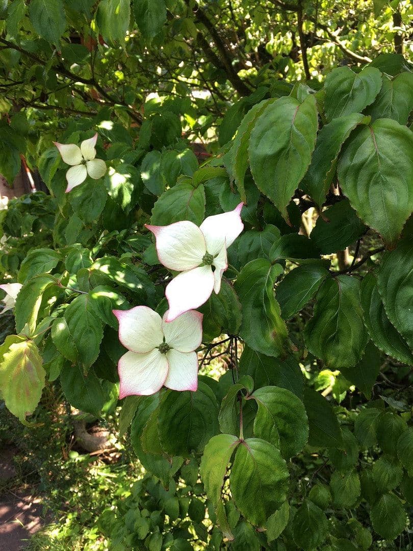 Predaj bytu 3-izbový 101 m², Im Erlenbruch, Essen, Severné Porýnie - Westfálsko Predaj bytu 3-izbový 101 m², Im Erlenbruch, Essen, Severné Porýnie - Westfálsko