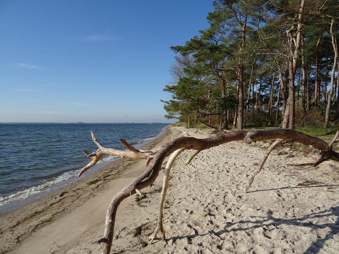 Predaj domu 120 m², pozemek 700 m², Garz/Rügen, Meklenbursko-Predpomoransko Predaj domu 120 m², pozemek 700 m², Garz/Rügen, Meklenbursko-Predpomoransko